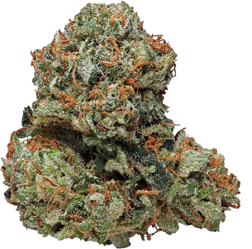 KUSHER KUSH