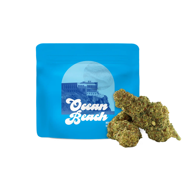 OCEAN BEACH