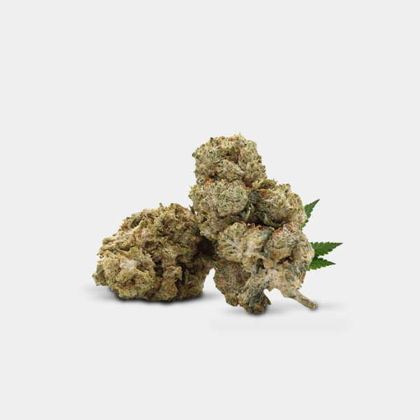MALIBU SKITTELZ