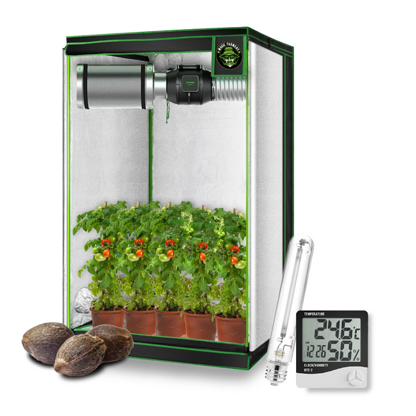 HPS 600W complete kit