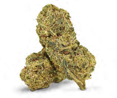 FLYING DUTCHMAN