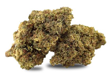 MUNCHIES HAZE