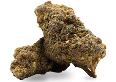 FRAGOLINA OG