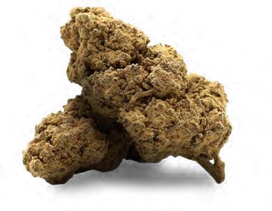 SNOW CREAM