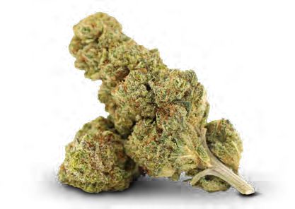 BLUE MANGO