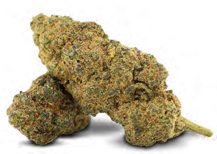SOUR SHERBERT