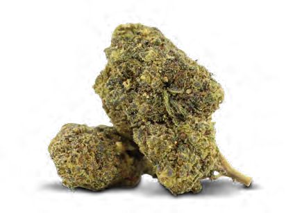 WEEDY WONKA