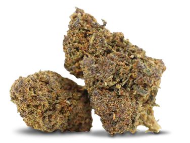 SOUR BUBBLE