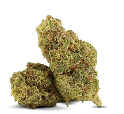 SOUR CREAM