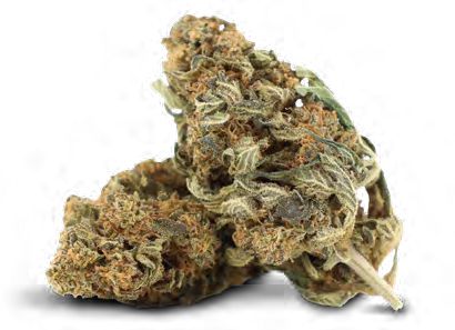 STRAWBERRY KUSH