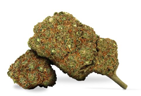 TRAINWRECK