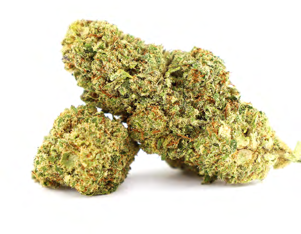 EXOTIC HAZE