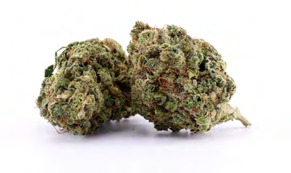 BANANA SOUR