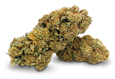 TROPICAL PUNCH