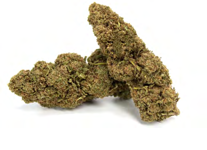 CHEMDAWG