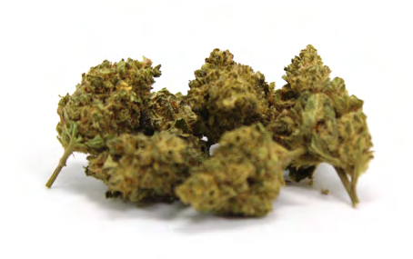 LEMON POP
