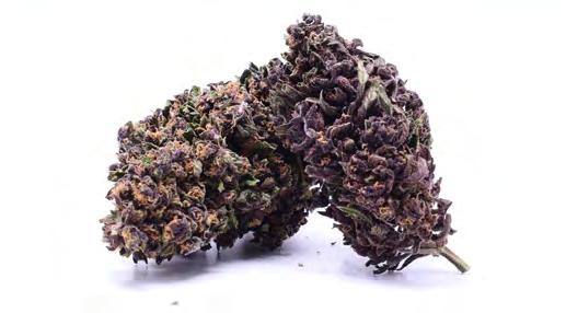PURPLE JACK