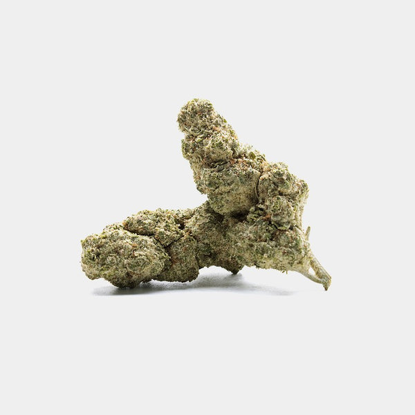 PETER PAN KUSH