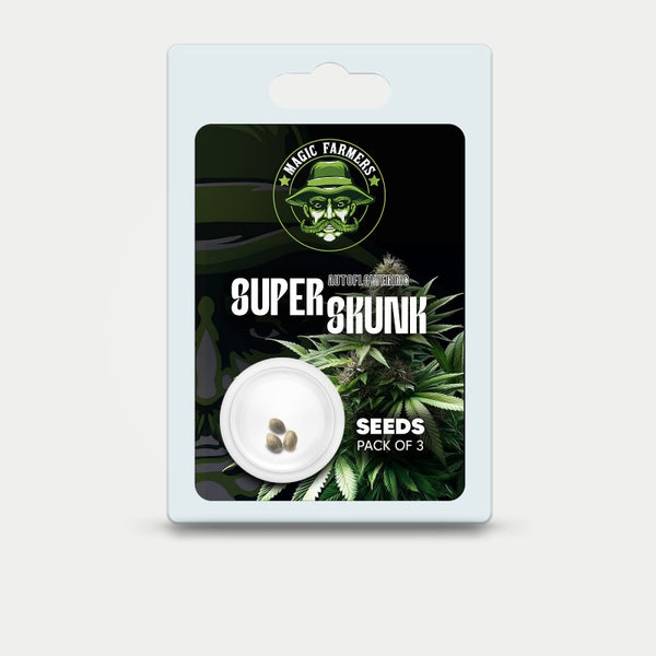SEEDS THC SUPER AUTO SKUNK (Autoflowering)
